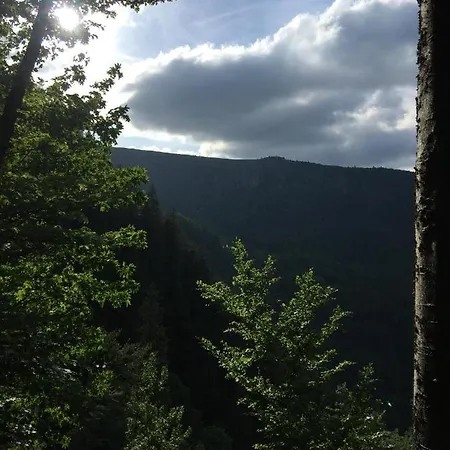 Le Chalet Du Loup Chalet Orbey