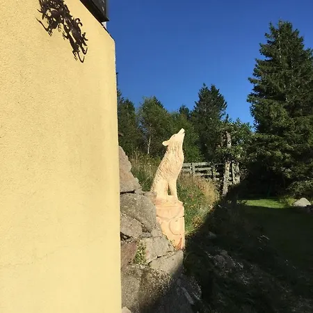 Le Chalet Du Loup Orbey